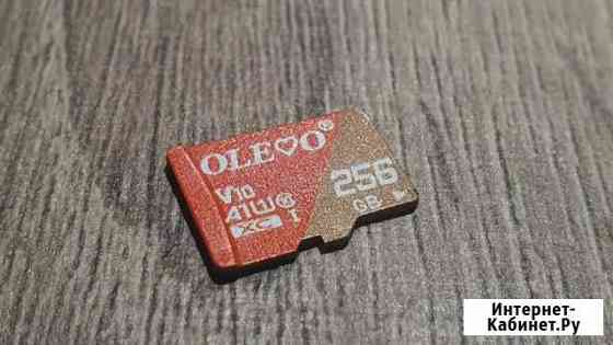 Карта памяти MicroSD 256 Gb Советский