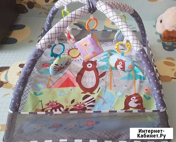 Развивающий коврик Комсомольск-на-Амуре - изображение 1