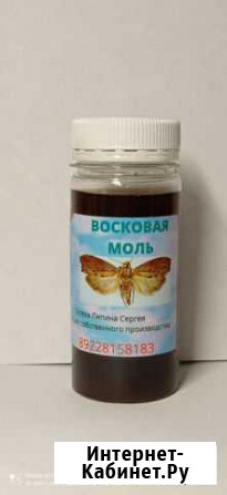 Восковая моль, пчелиный подмор,прополис, перга Уфа - изображение 1
