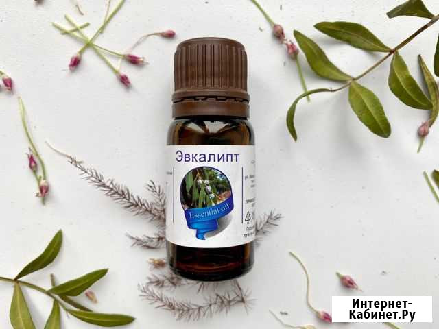 Эфирное масло Эвкалипт Киров - изображение 1