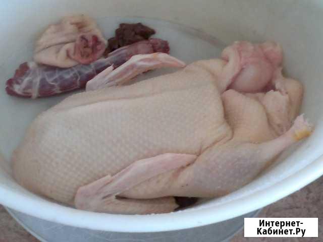 Продаю мясо домашней птицы свежего забоя под заказ Ухта - изображение 1