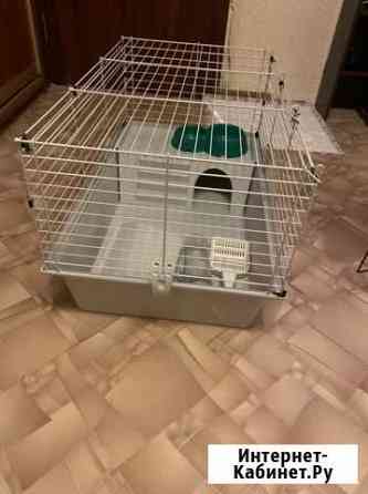 Клетка Тольятти