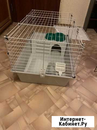 Клетка Тольятти - изображение 1