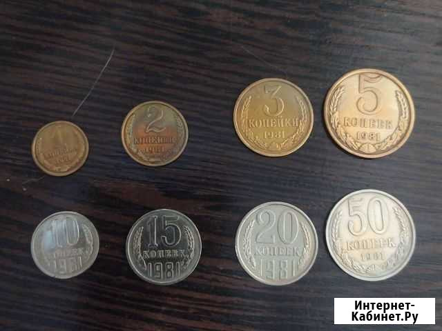 Погодовка СССР 1981 Пенза - изображение 1