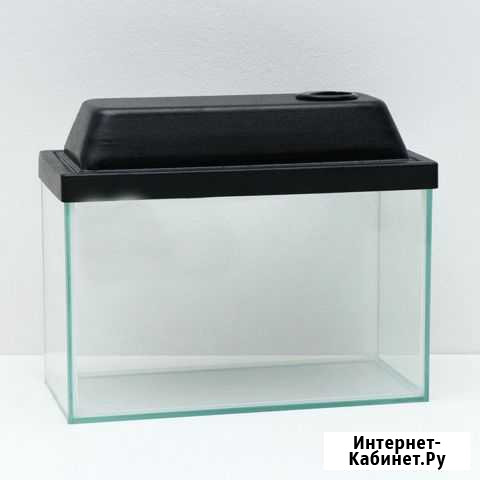 Аквариум с крышкой 10 литров, 32 x 15 x 21/23,5 см Киров - изображение 1