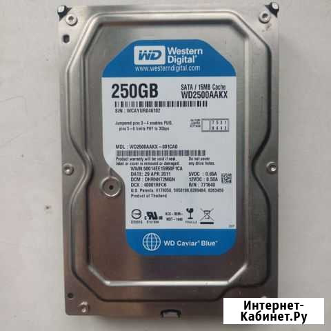 Жесткий диск для компьютера WD blue 250GB Казань - изображение 1