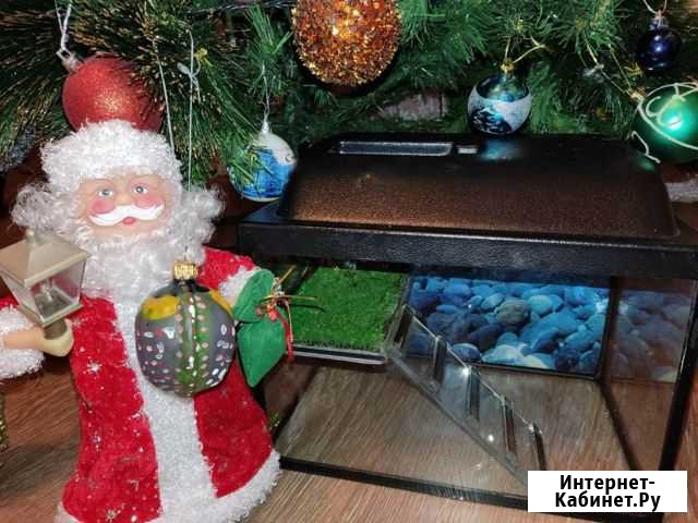 Аквариум для черепахи (черепашатник) Нижний Новгород - изображение 1