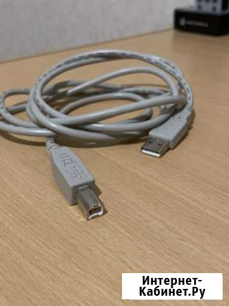 Кабель для оргтехники USB AM/BY Азов - изображение 1