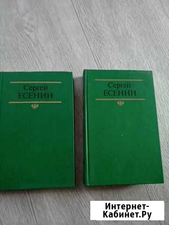 Сергей Есенин Новосибирск - изображение 1