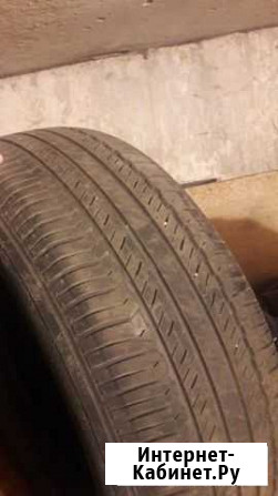 Продам шину Железногорск - изображение 1