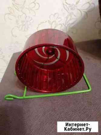 Колесо для хомяка Мурманск