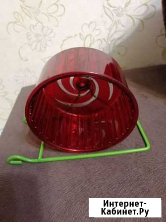 Колесо для хомяка Мурманск - изображение 1