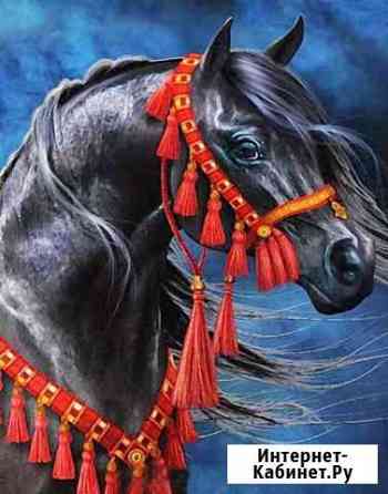 Алмазная мозаика 4050 квадратные стразы Киров