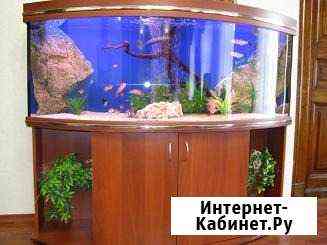Аквариумы и тумбы Волгодонск