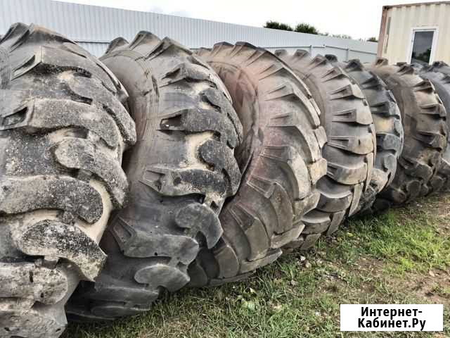 Шины 21.00-28 / 570-711R28 моаз Артем - изображение 1