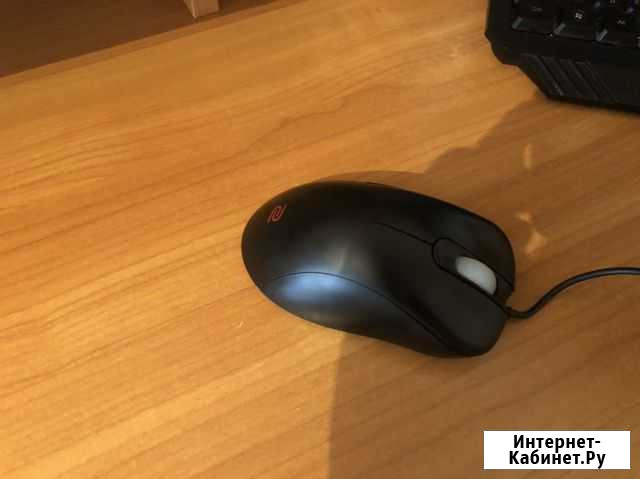Мышь проводная Zowie EC2-A черный Когалым - изображение 1