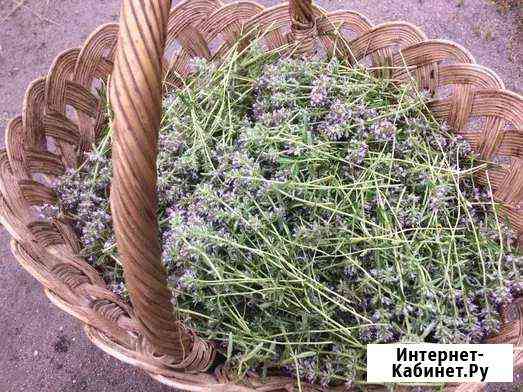 Чабрец Симферополь