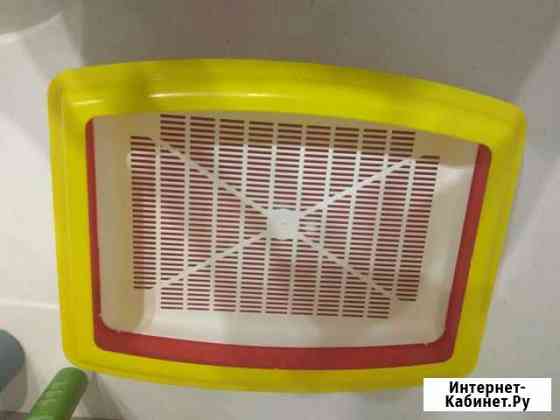 Лоток кошачий Калининград