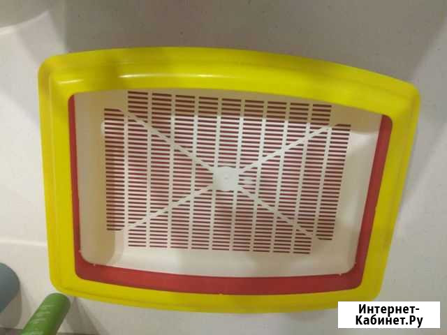 Лоток кошачий Калининград - изображение 1