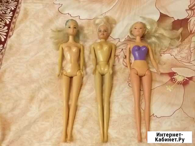 Барби Ярославль - изображение 1