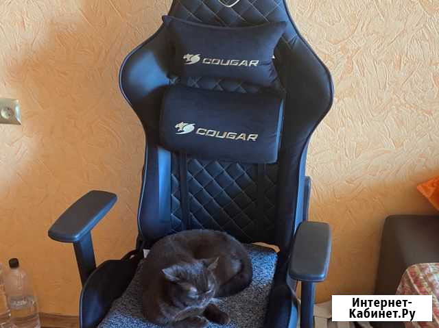 Игровой стул Cougar Петропавловск-Камчатский - изображение 1