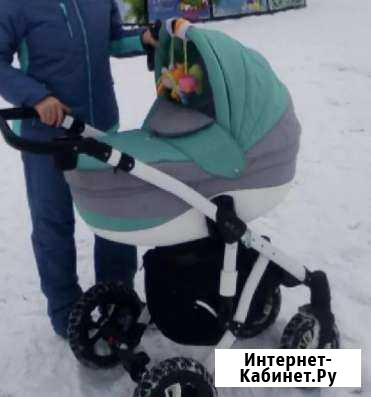 Коляска 2 в 1 adamex Переславль-Залесский - изображение 1