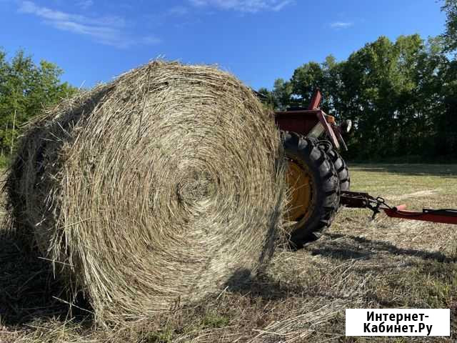 Сено рулоны тюки Осинники - изображение 1