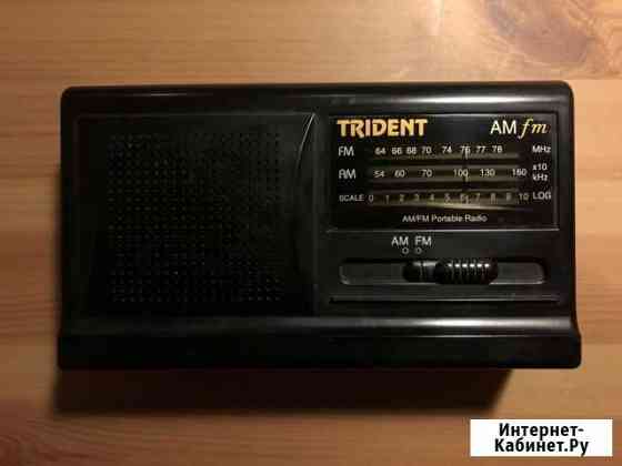 Радиоприемник портативный Trident AM/FM Portable Владимир