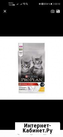 Сухой корм для котят Брянск - изображение 1