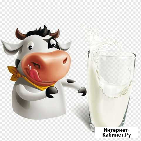 Молоко, сливки, творог, масло, яйцо куриное Каменск-Уральский - изображение 1