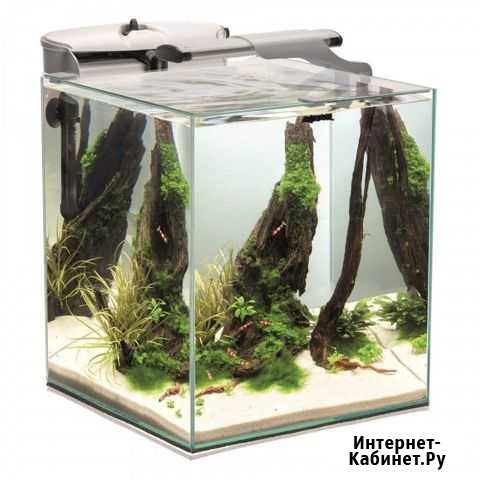 Аквариум Aquael Shrimp Set Duo 30 49л Уфа - изображение 1