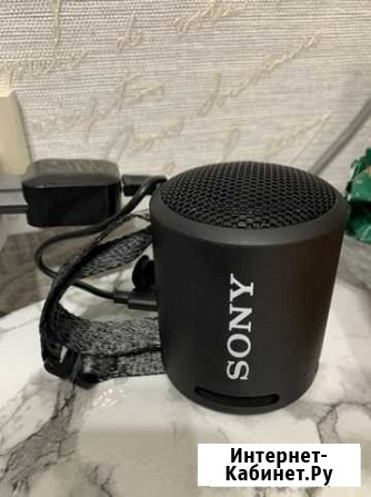 Портативная колонка sony Ивантеевка - изображение 1