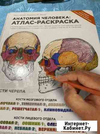 Атлас - раскраска. Анатомия человека Шахты