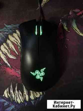 Razer Deathadder Essential Черняховск