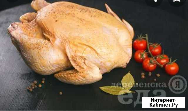 Домашняя курочка, утка, гусь, индюк Новосибирск - изображение 1