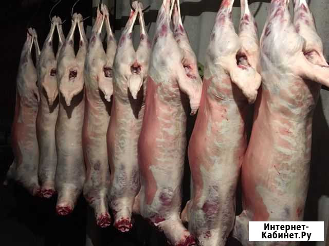 Мясо баранина Лабинск - изображение 1