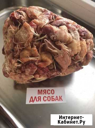 Куриные шеи в коже / Мясо для Собак Струнино - изображение 1