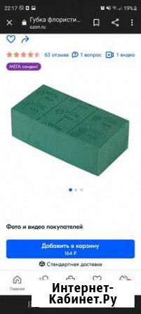 Флористический оазис Дзержинск - изображение 1