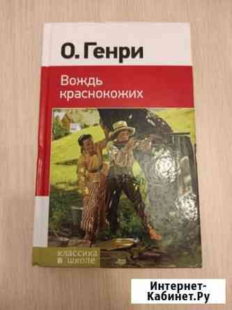 Книга Вождь краснокожих Каменск-Уральский