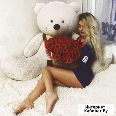 Плюшевые мишки Норильск - изображение 1