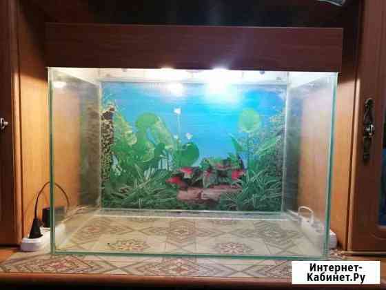 Аквариум Новосибирск