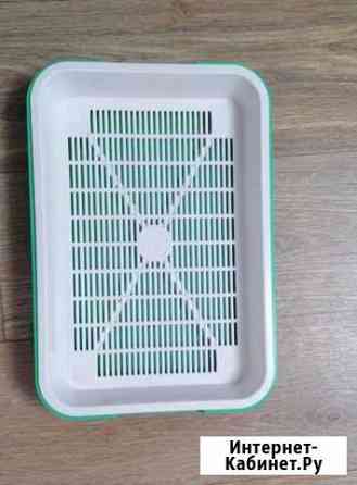 Лоток для кошек новый Набережные Челны