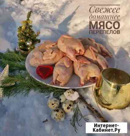 Свежее домашнее мясо перепелов Зеленодольск