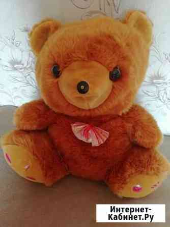 Медведь Чита