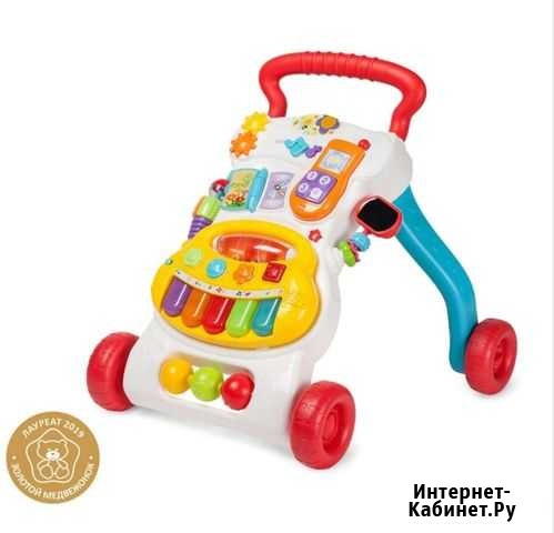 Ходунки каталка Брянск - изображение 1