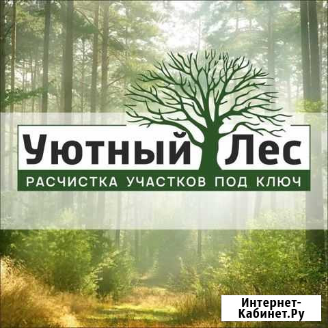 Расчистка участков, спил, обрезка деревьев Иркутск - изображение 1