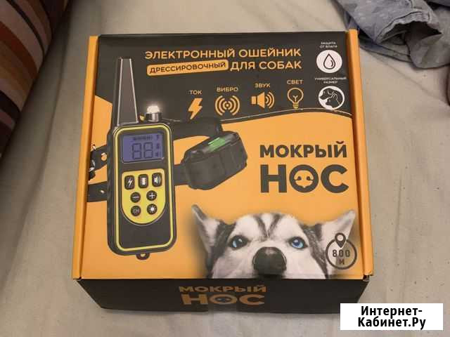 Ошейник Симферополь - изображение 1