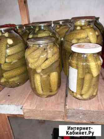 Огурцы соленые (маринованные, соленья) Чехов