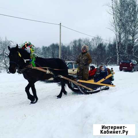 Сани деревянные Парфино - изображение 1