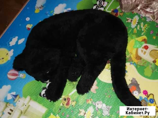 Мягкая игрушка Улан-Удэ - изображение 1